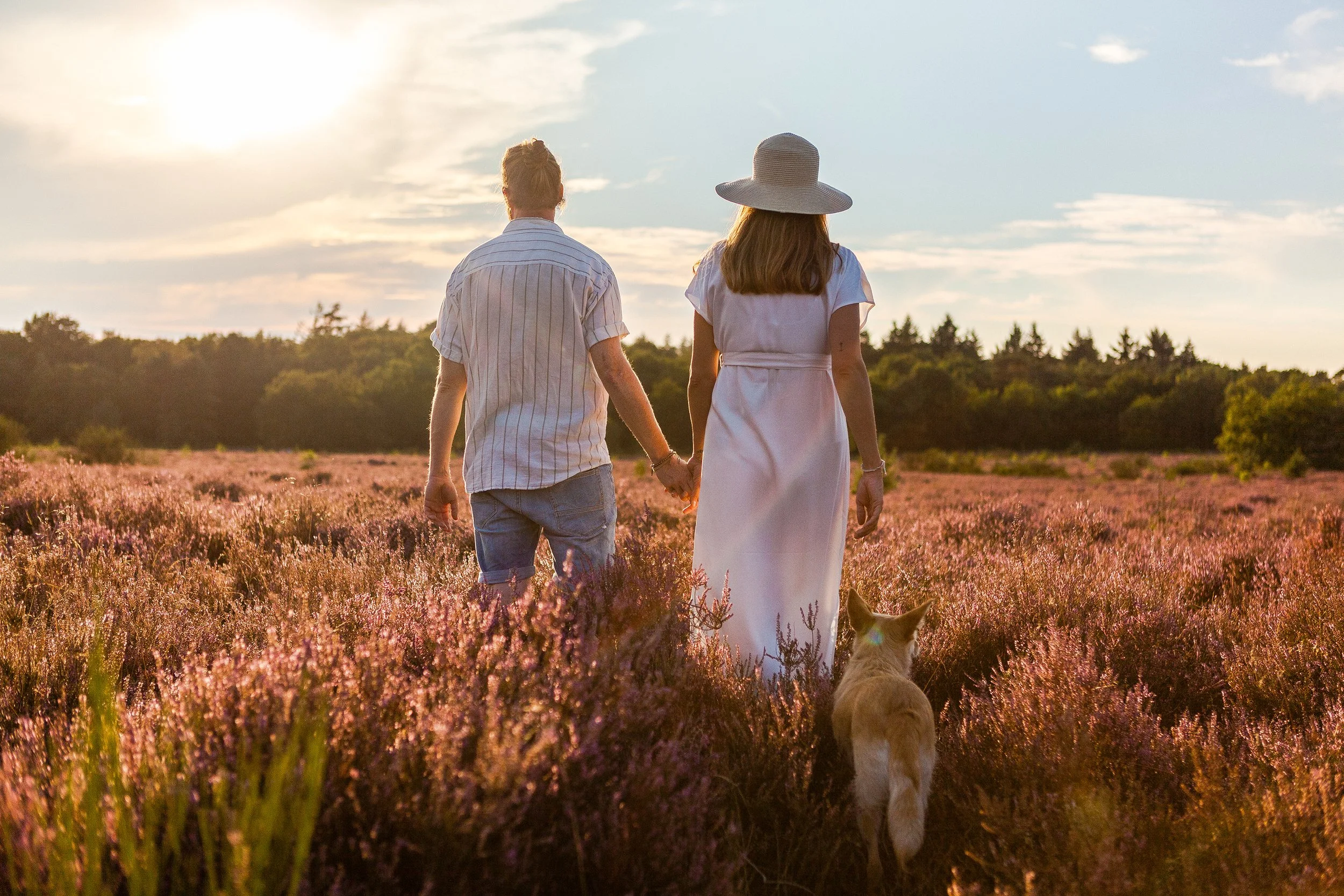 Een paar wandelen hand in hand door een veld met roze heideplanten tijdens zonsondergang, met een hond naast hen.