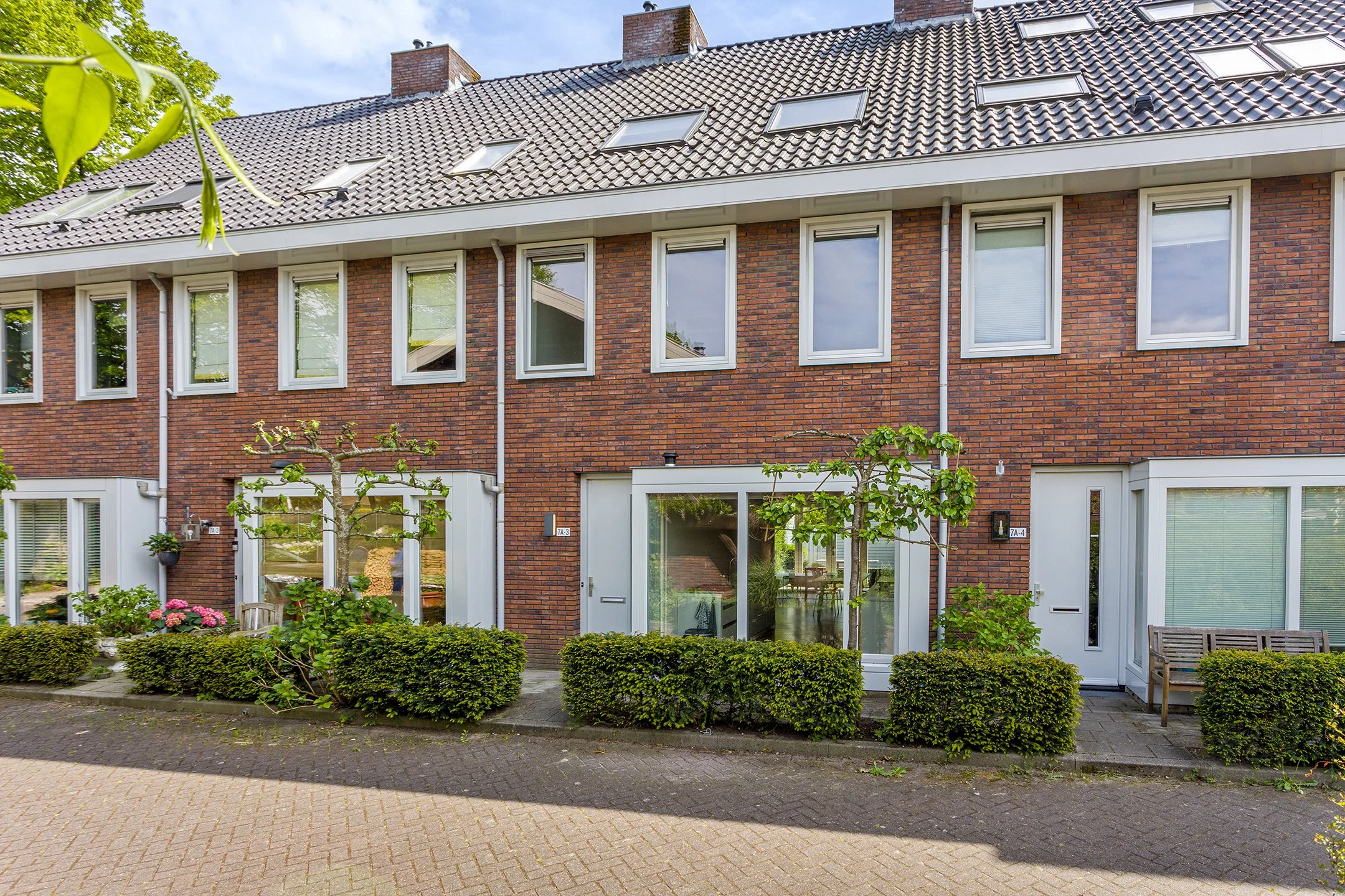 Twee rijtjeshuizen met een tuin voor en een gebladerde boom en bloeiende planten. Het zijn moderne huizen met een rood bakstenen gevel, grote ramen en een schuine dakbedekking met dakramen.
