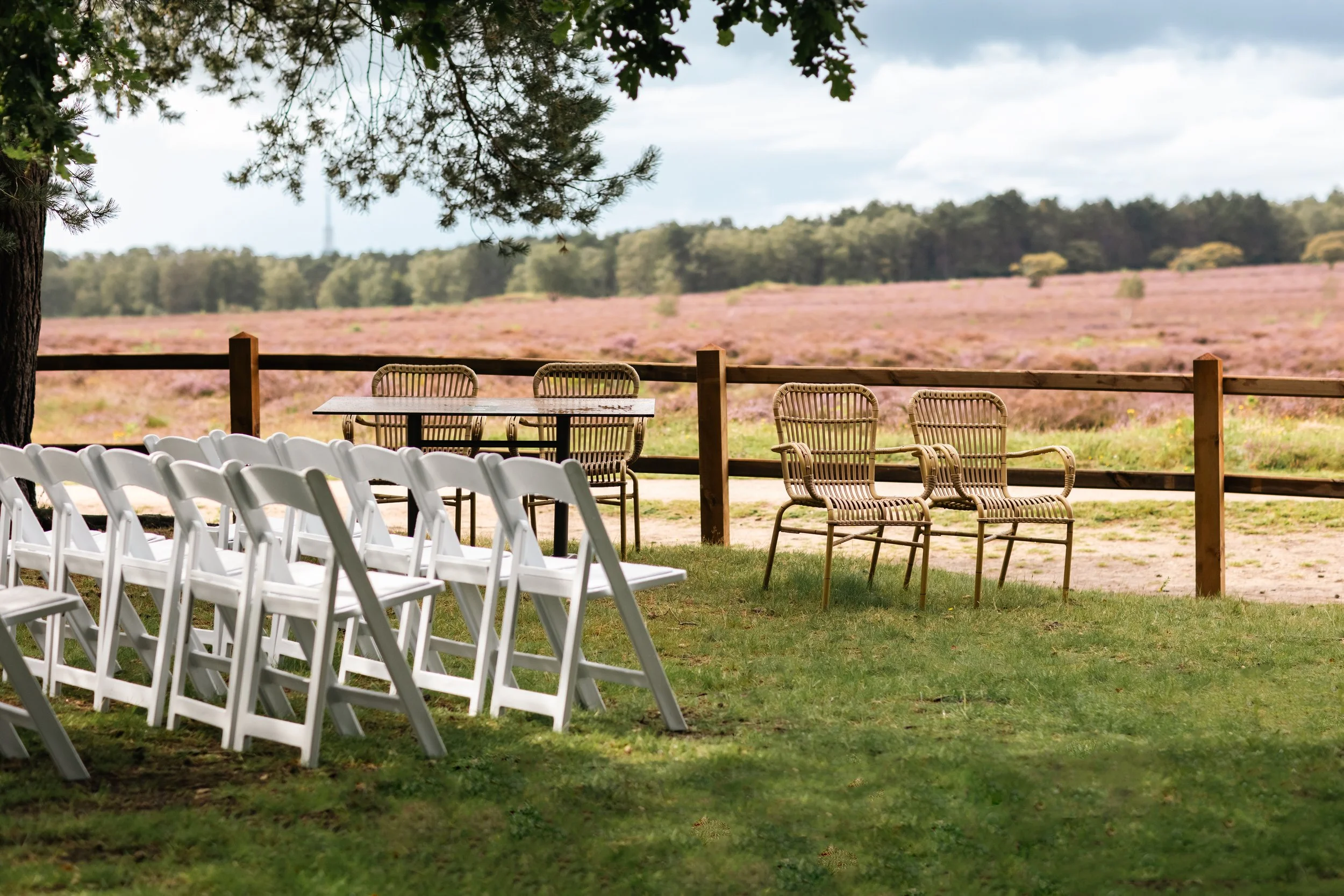 Rijen witte en rotan stoelen en tafels onder een boom, uitzicht op een bloeiende heide en bos op de achtergrond.