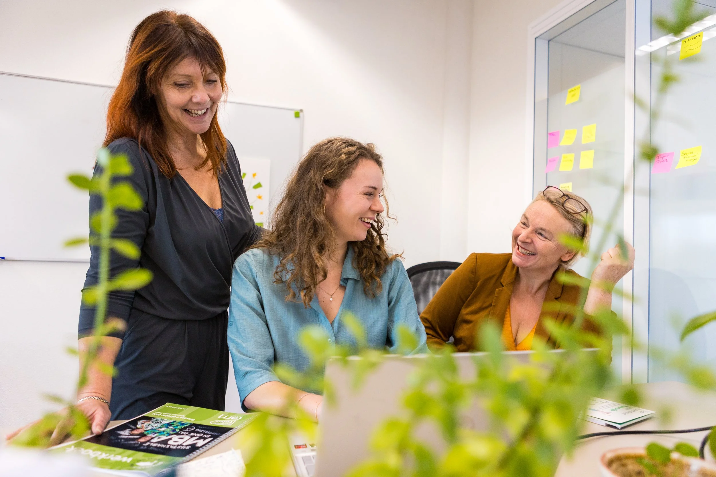Drie vrouwen lachen en praten samen in een kantoor, met sticky notes op de muur en een plant op de voorgrond.