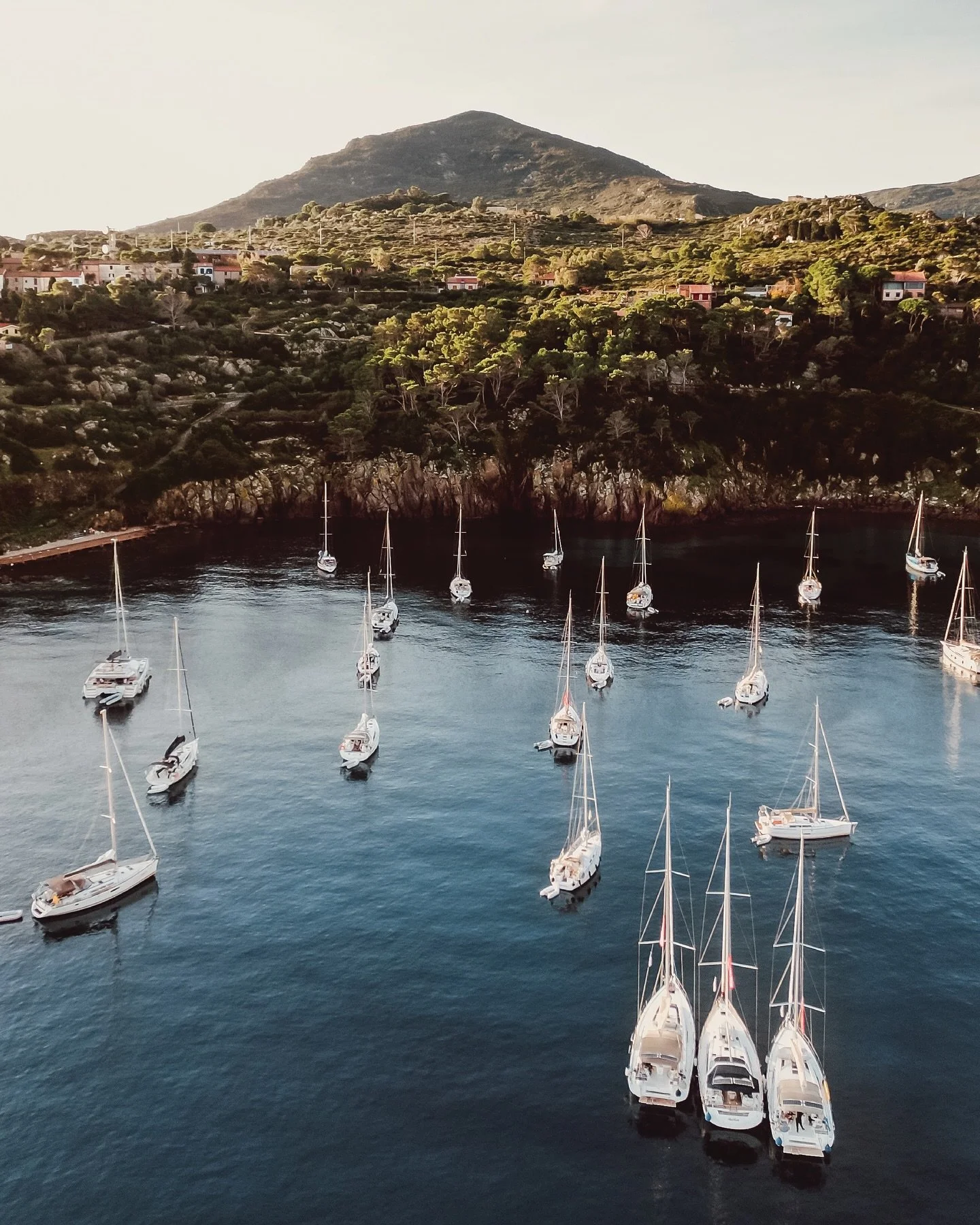 &ldquo;Da Montelupo si vede Capraia, Dio li fa e poi li appaia&rdquo; Sagra del Totano 2025 🦑 

#sagradeltotano #isoladicapraia