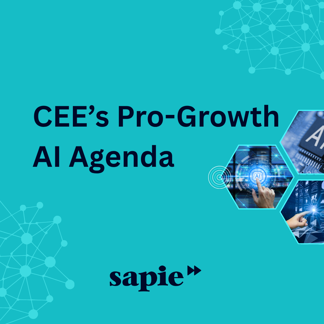 CEE’s Pro-Growth AI Agenda