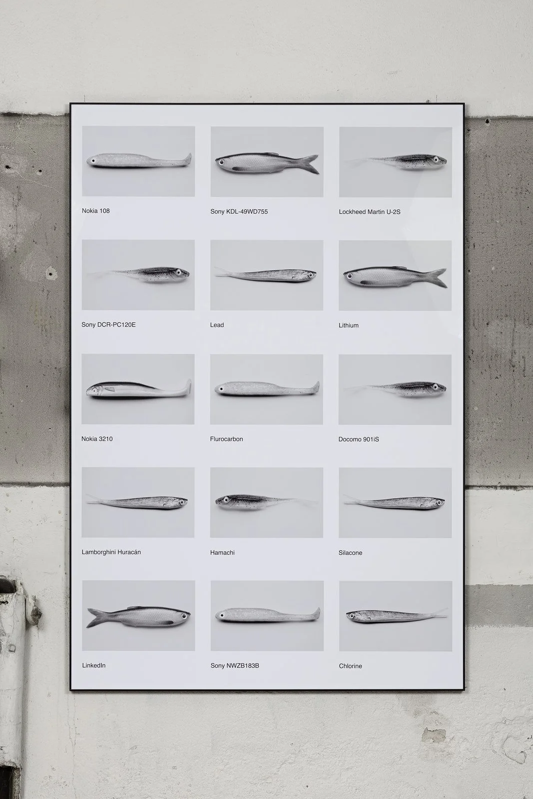 Eye of The Huracán Sean Snyder SCHLOSS November 25 – December 24, 2016 Photo: Vegard Kleven 