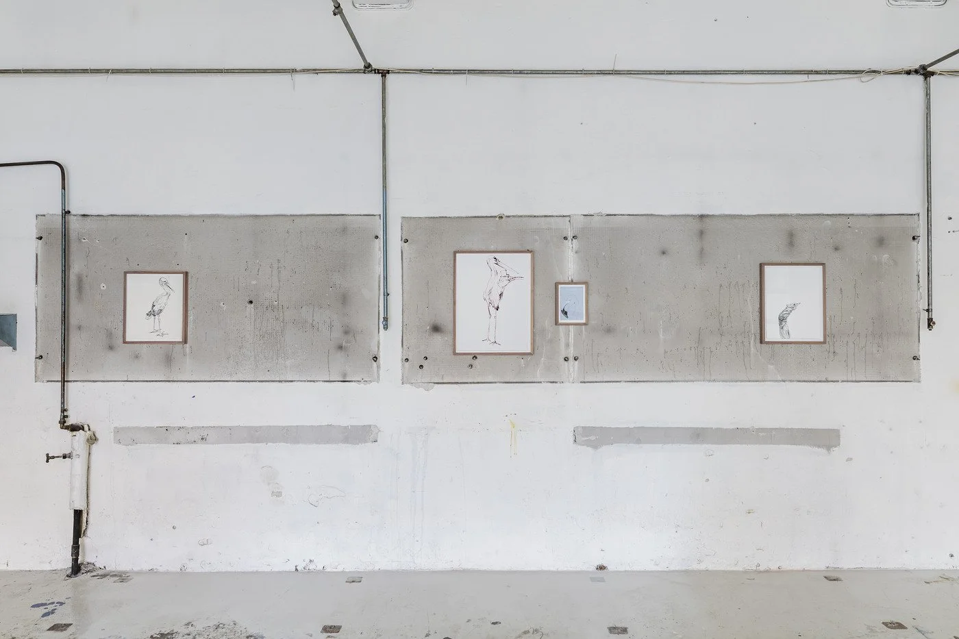 Deep joke Agnes Moraux SCHLOSS, Oslo August 19 – September 18, 2016 Photo: Vegard Kleven