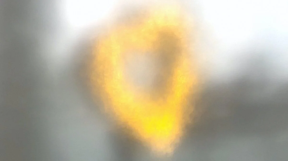 The Opacifier (2024) Marie-Alix Isdahl Stowaway, Los Angeles 02–06.08.2025