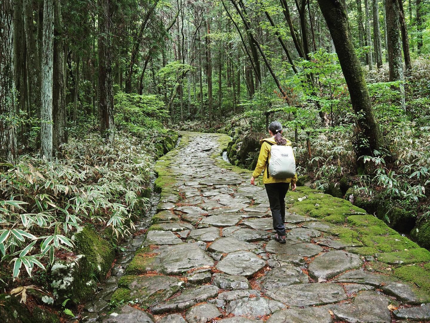 Private Nakasendo Hiking Tours with Local Guides!

Recently we have been busy busy busy and haven&rsquo;t had much time to post. But here are a few snaps from a multi day trip with these two extremely interesting Hong Kongers!

They saw Kiso is the s