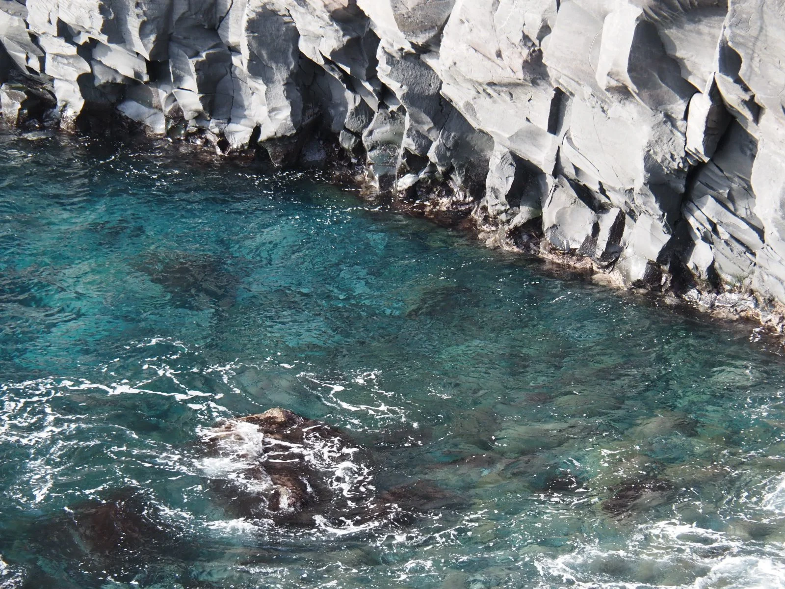 Jogasaki Coastline Izu Peninsula Hiking Geology Geopark UNESCO Kogen
