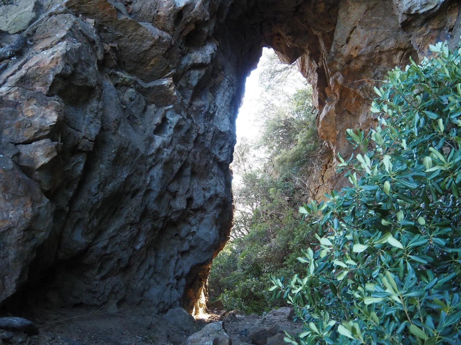 Izu Shimoda Walking Hiking Perry Road Ryosenji Fuji Mount