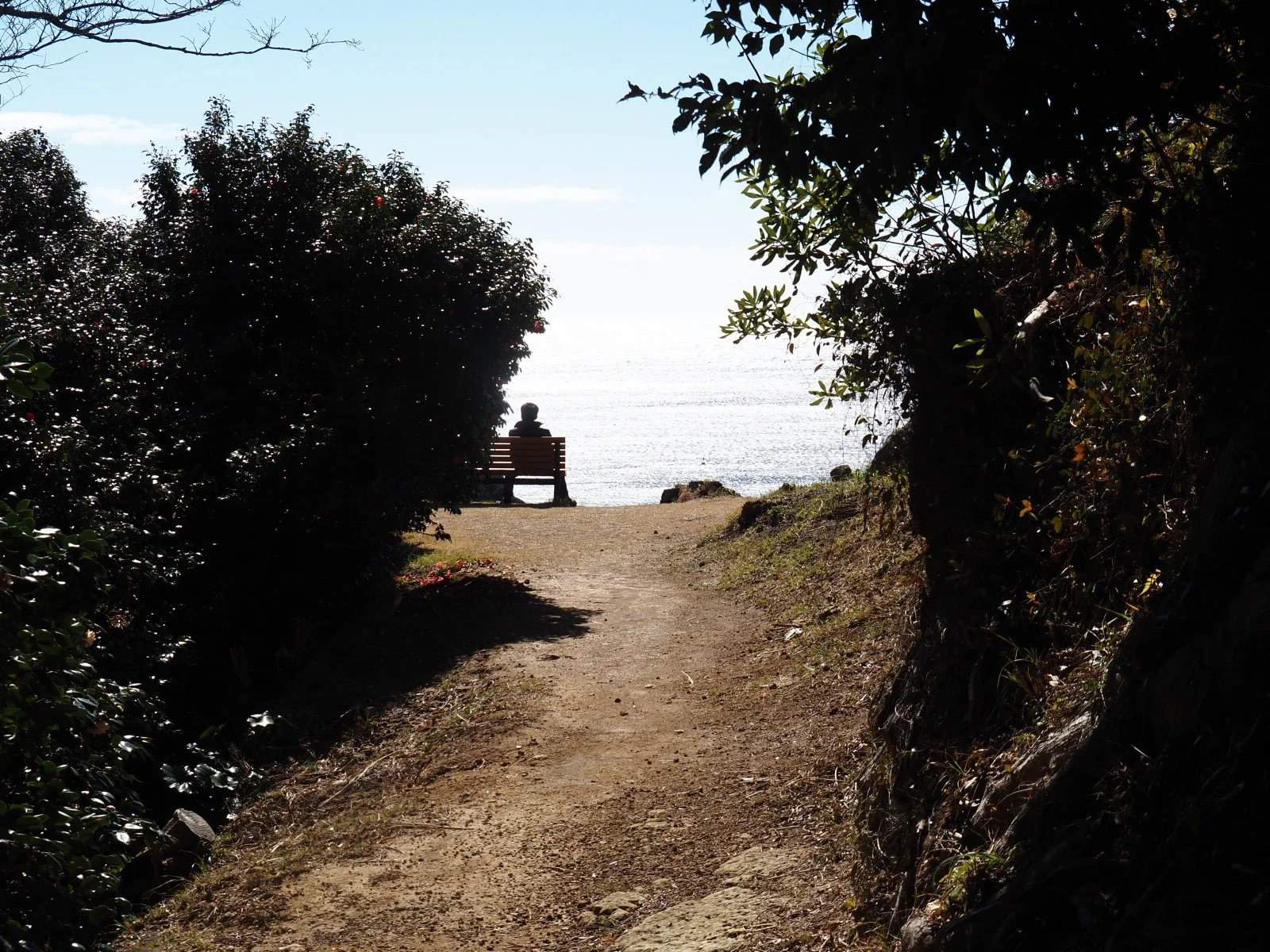 Izu Shimoda Walking Hiking Perry Road Ryosenji Fuji Mount