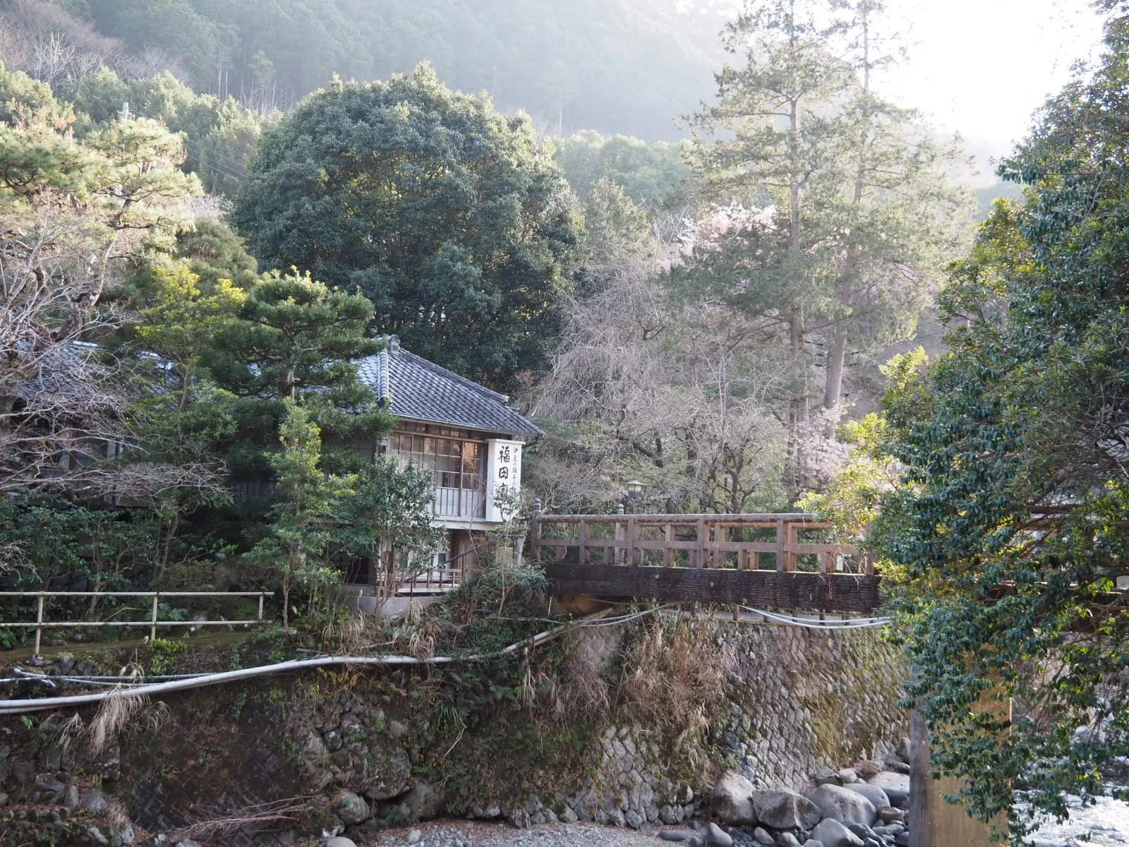 Izu Odoriko Trail Jogen Falls Nanadaru Kawazu Dancing Girl Waterfalls Onsen Wasabi