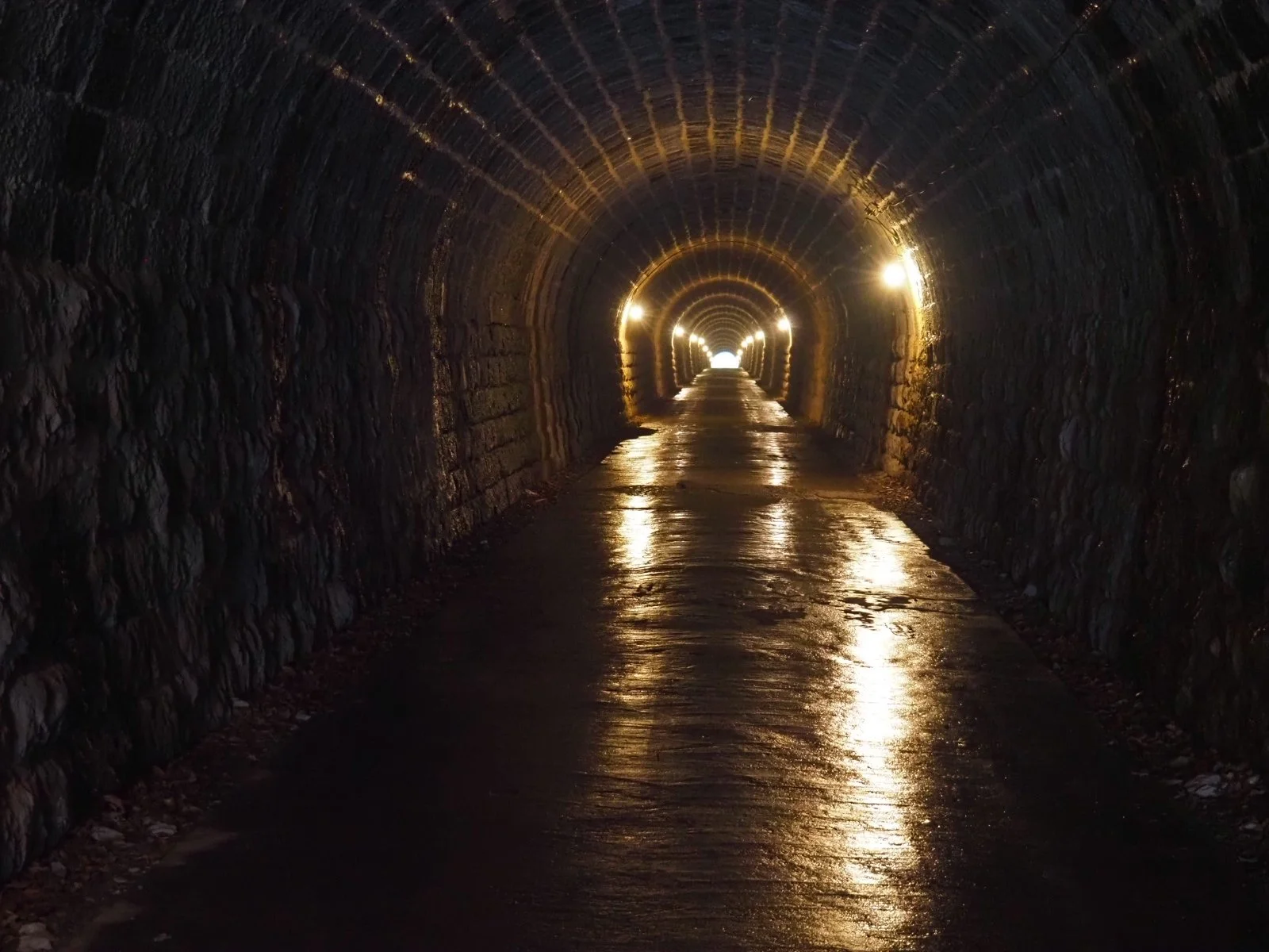 Izu Odoriko Trail Jogen Falls Nanadaru Kawazu Dancing Girl Waterfalls Onsen Wasabi 