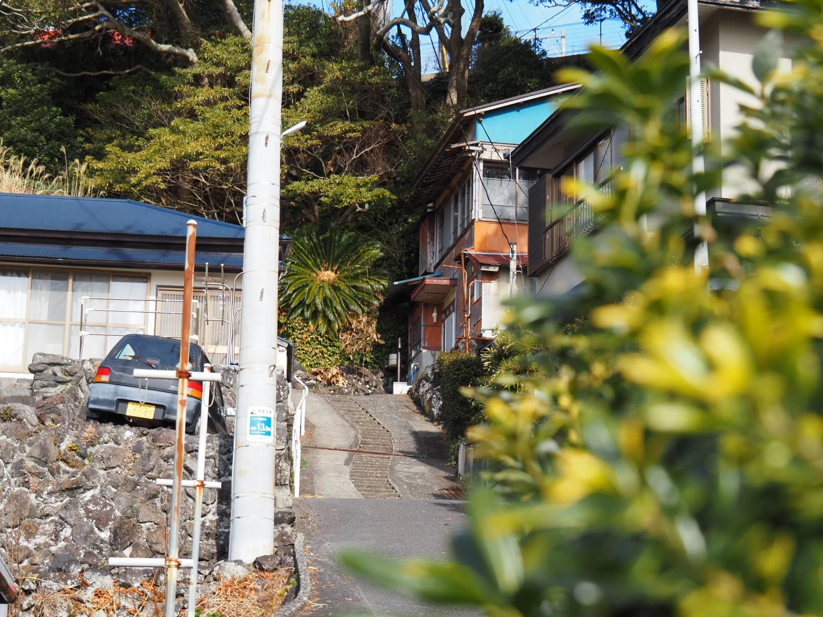 Jogasaki Coastline Izu Peninsula Hiking Geology Geopark UNESCO Kogen