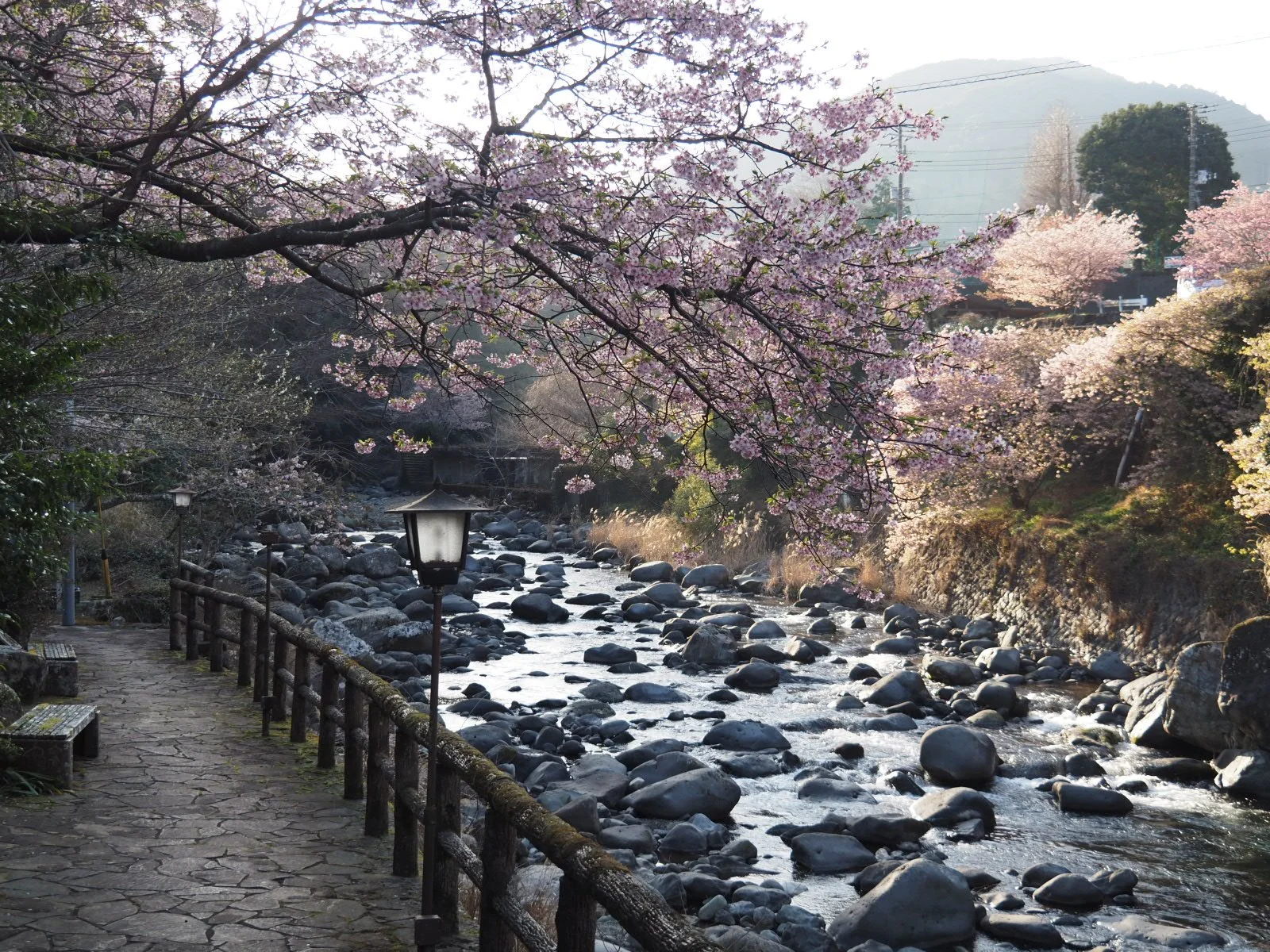 Izu Odoriko Trail Jogen Falls Nanadaru Kawazu Dancing Girl Waterfalls Onsen Wasabi