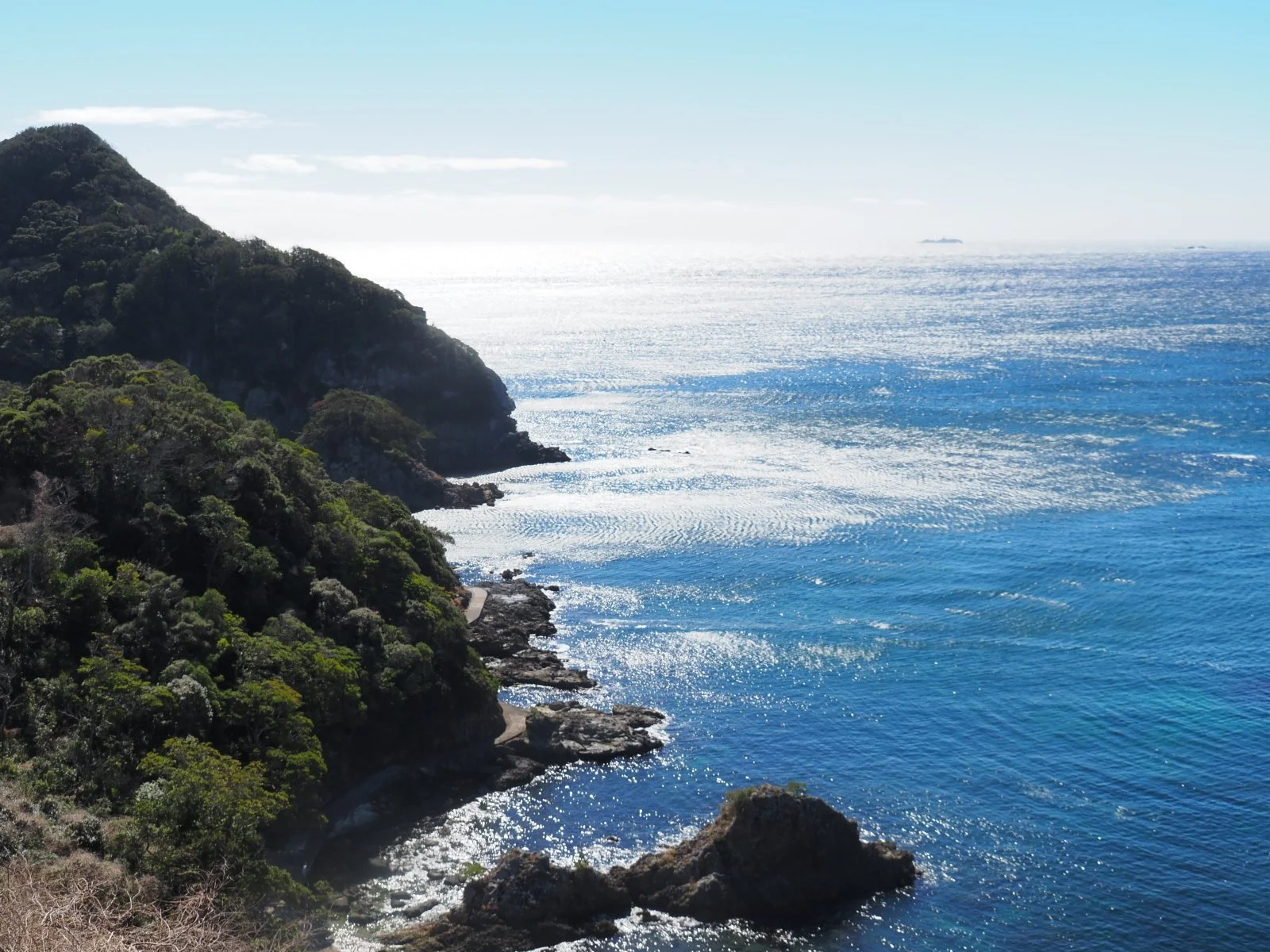 Izu Shimoda Walking Hiking Perry Road Ryosenji Fuji Mount