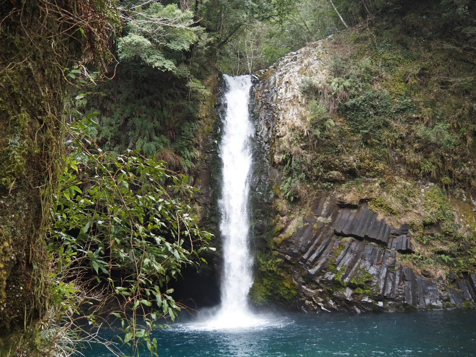 Izu Odoriko Trail Jogen Falls Nanadaru Kawazu Dancing Girl Waterfalls Onsen Wasabi