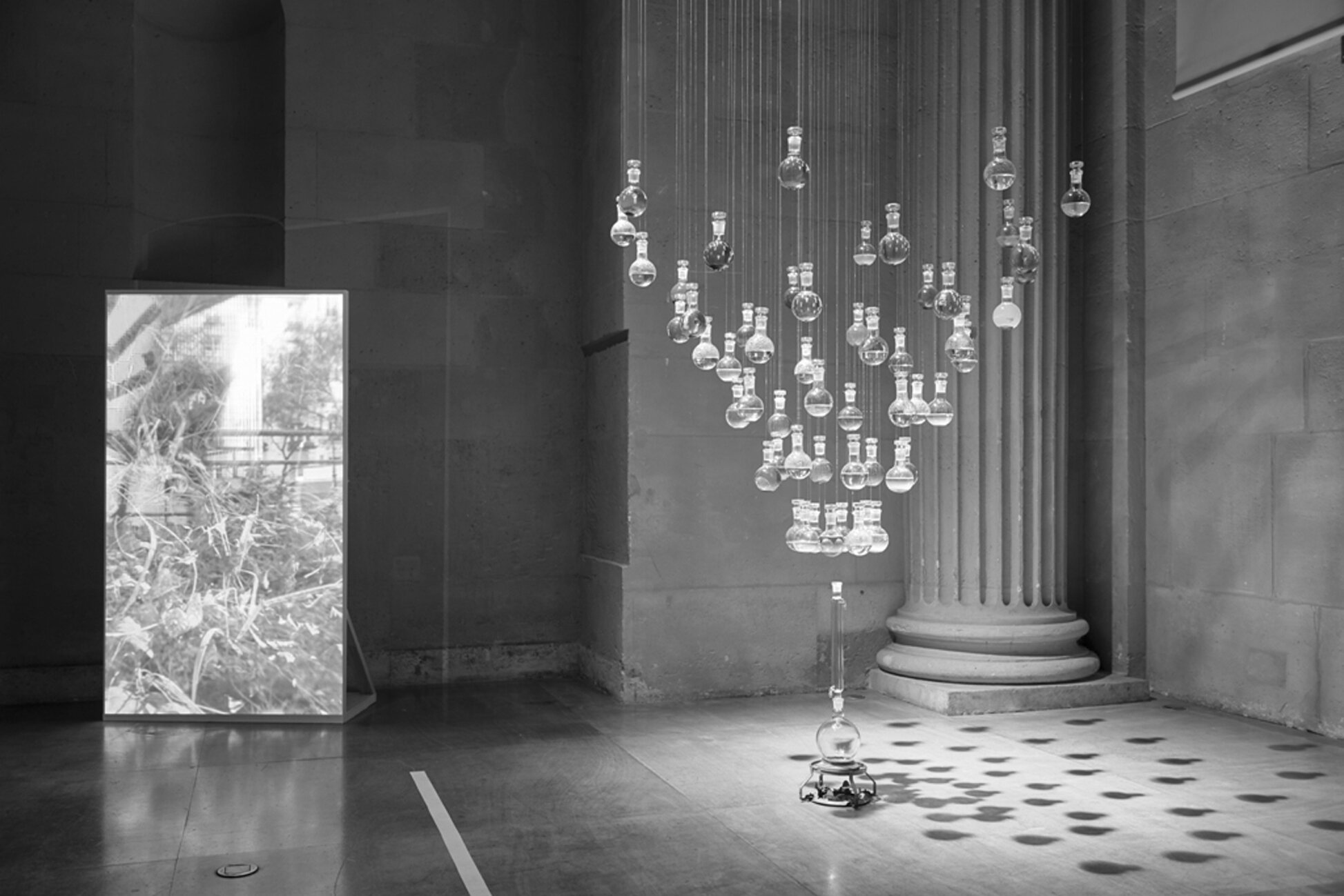 Petrichor in ConVersatoire, Musée d'Art et d'Histoire de Saint-Denis, 2019