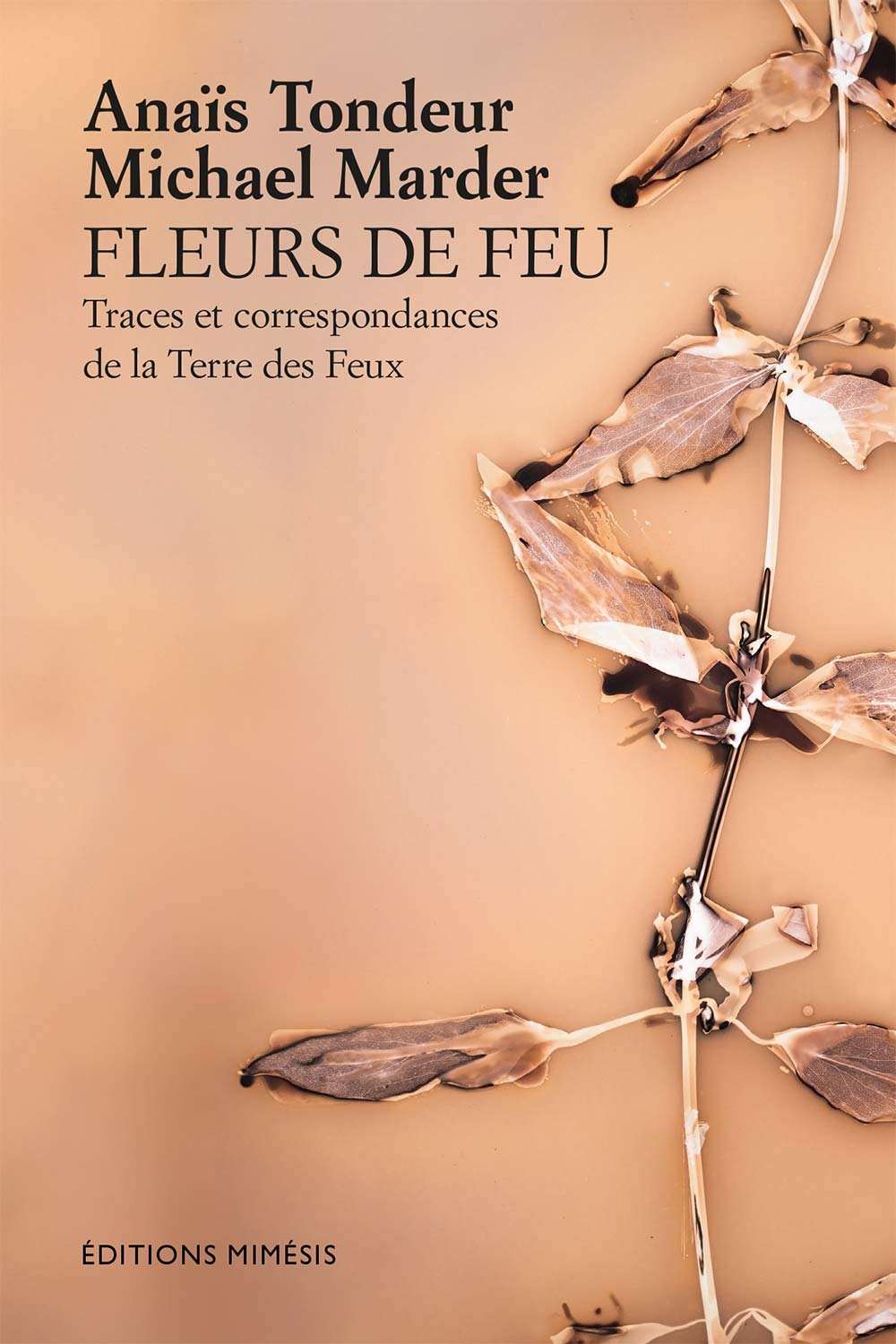france-marder-fleurs-feu.jpg