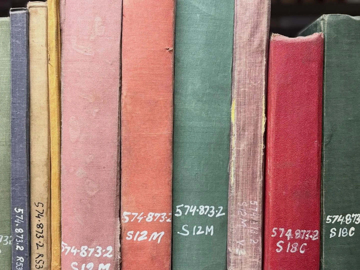 Can&rsquo;t get enough of the book spine colours at the Library in PAU! 

#ludhiana #punjanagriculturaluniversity #pau #library