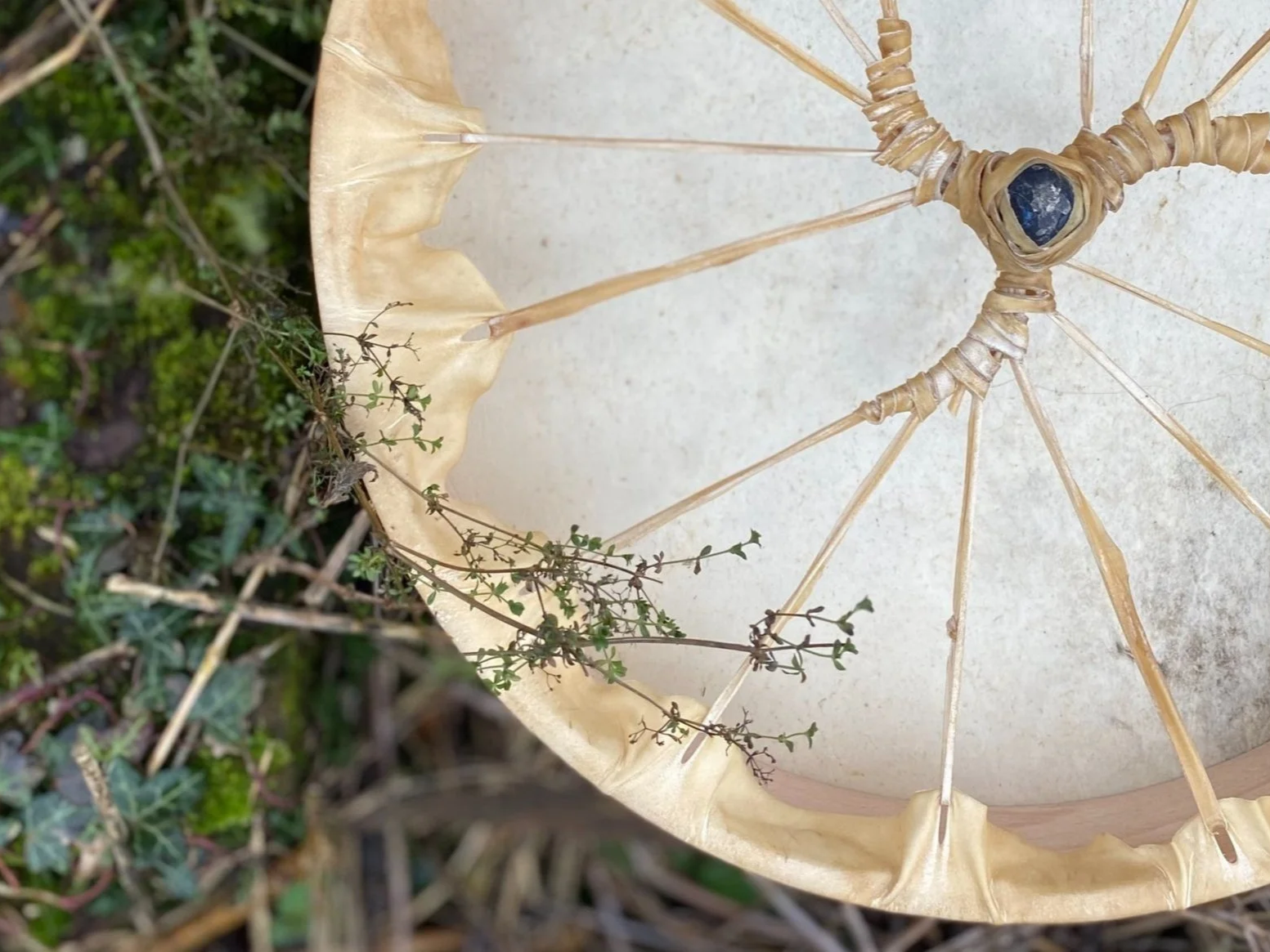 1-2-1 Path of the Shaman practitioner course