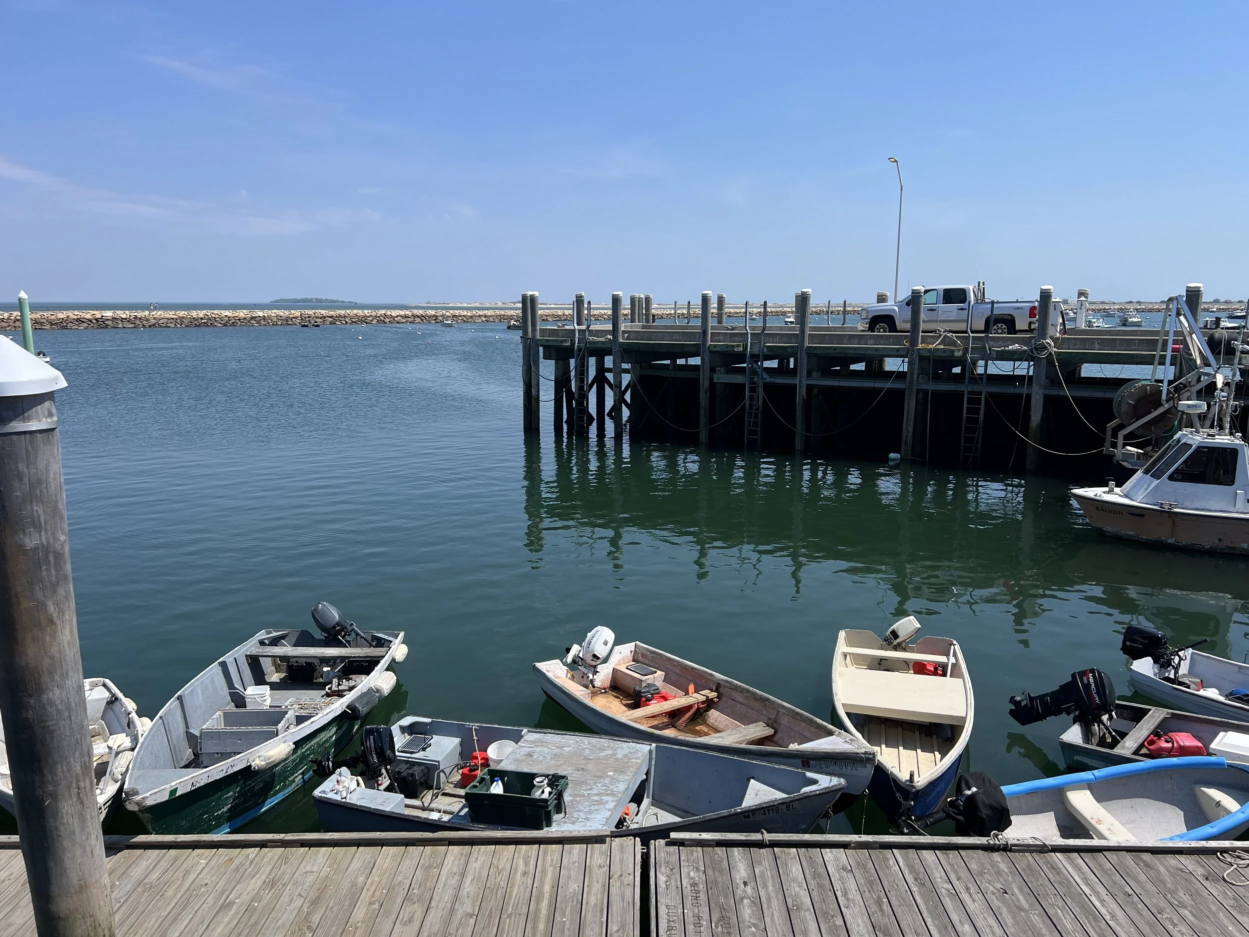 IMG_4865.jpeg