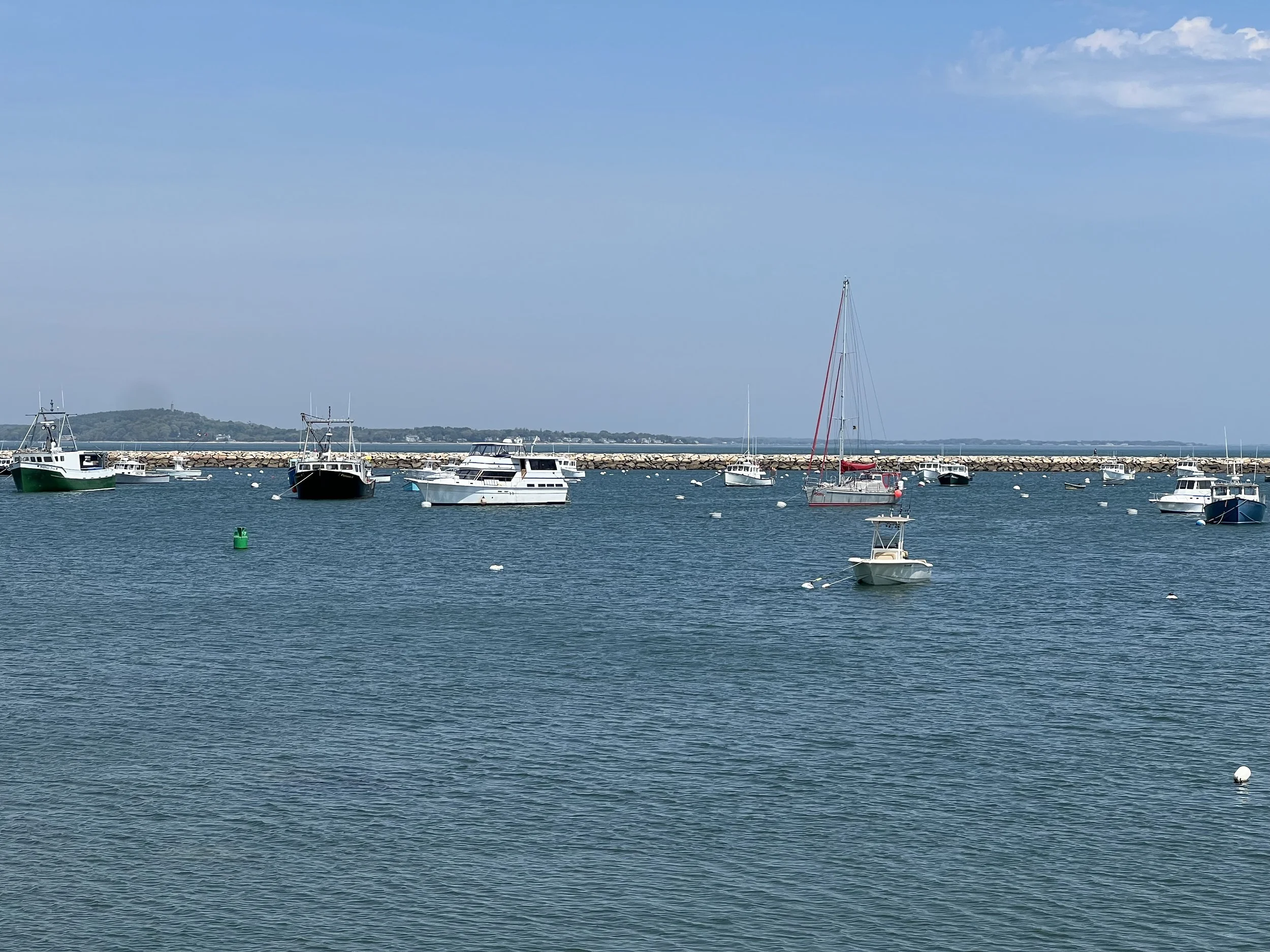IMG_4866 2.jpeg