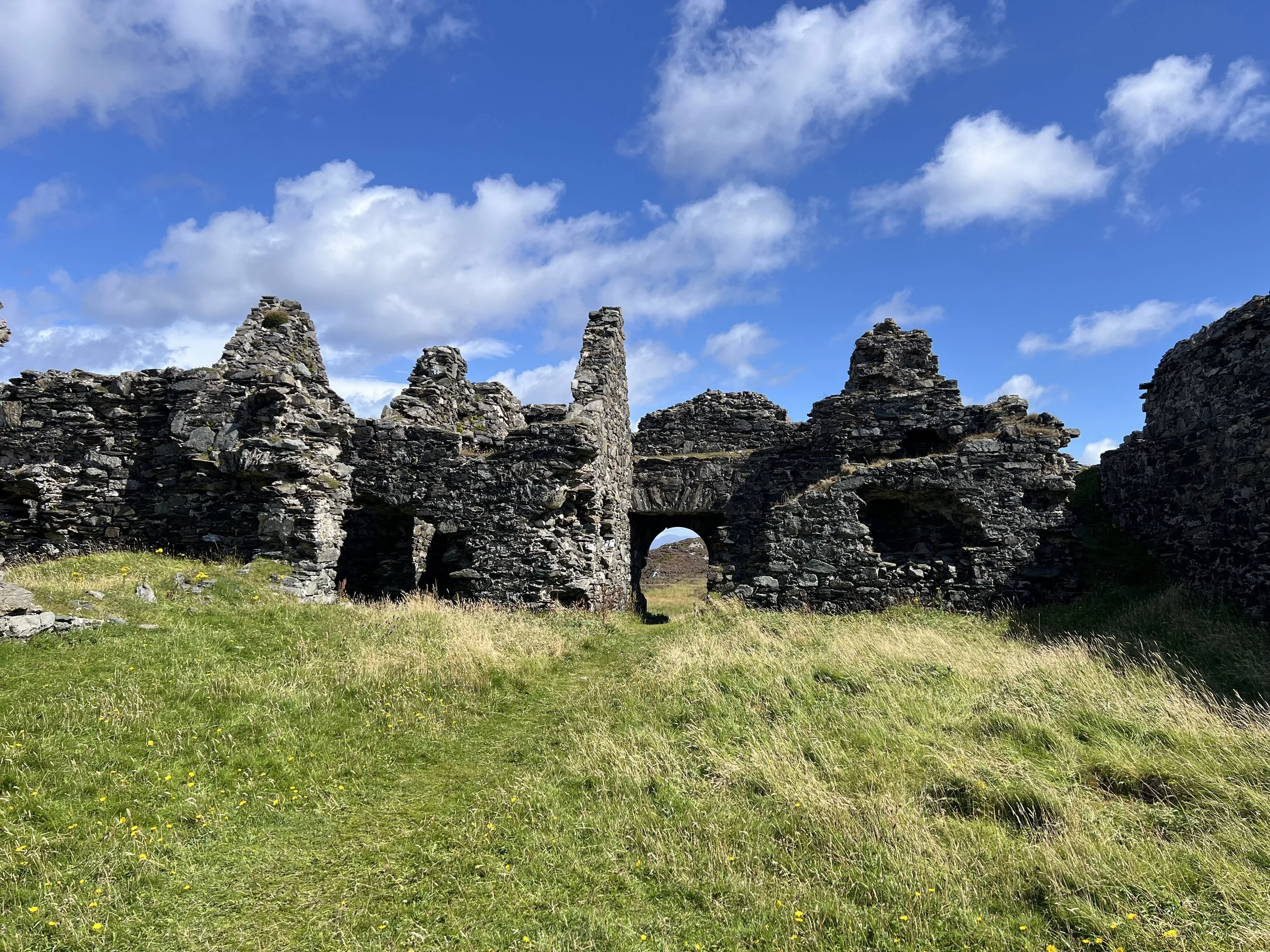 IMG_6304.jpeg