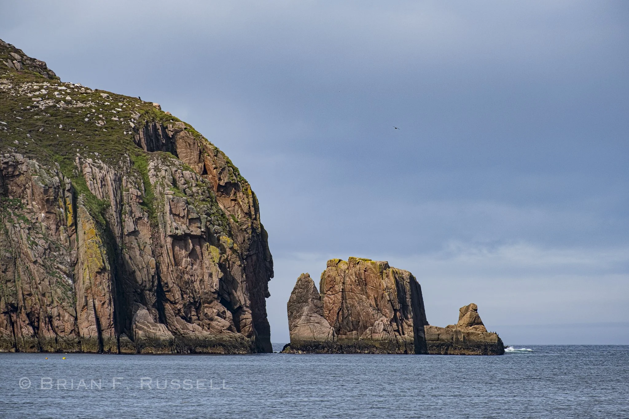 InishbofinToRathlinBlog-46.jpg