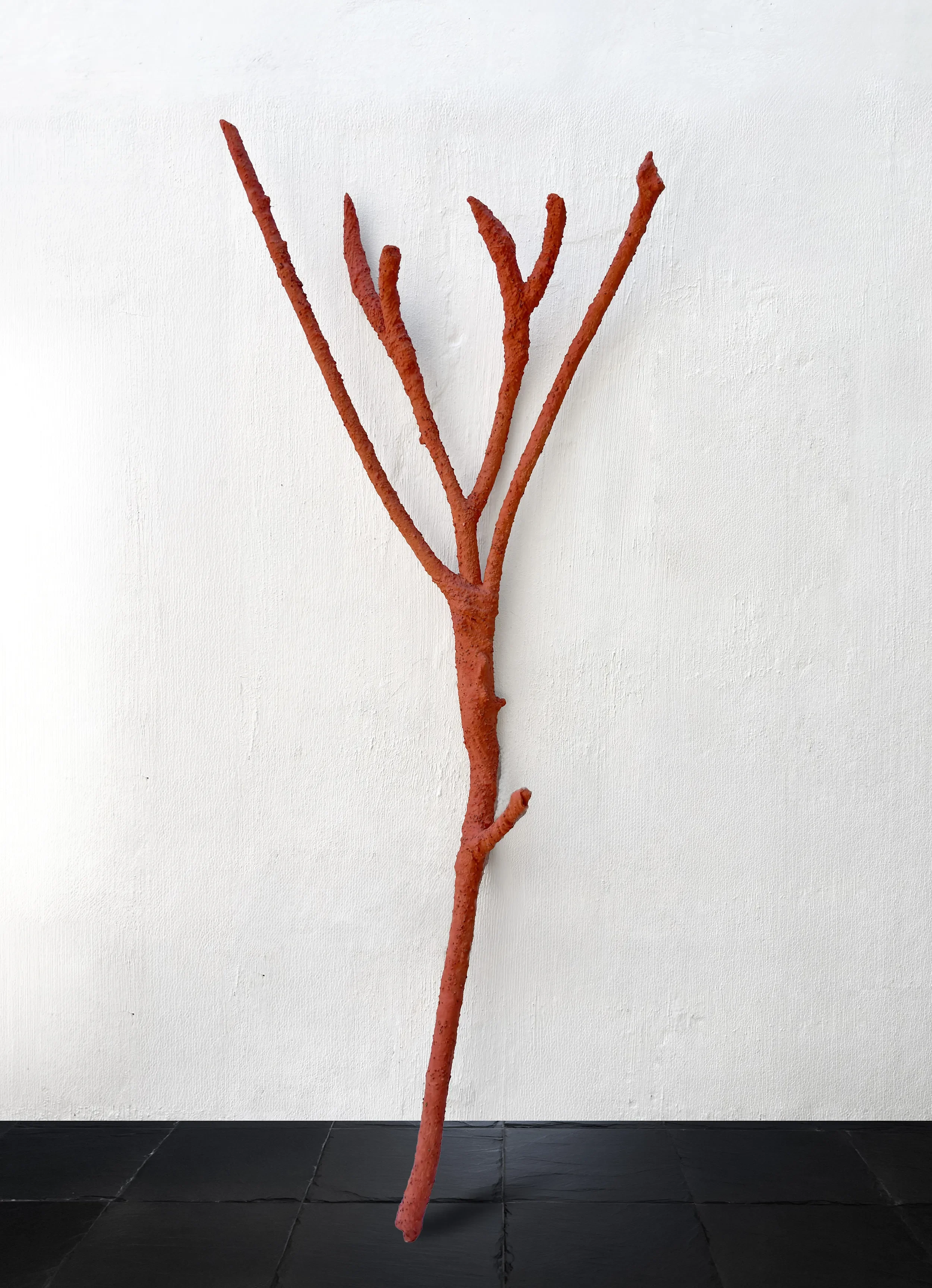 Fire Rake of Jonkering - 170 x 66 x 20 cm - assemblage with pigment, sand,
industrial gypsum