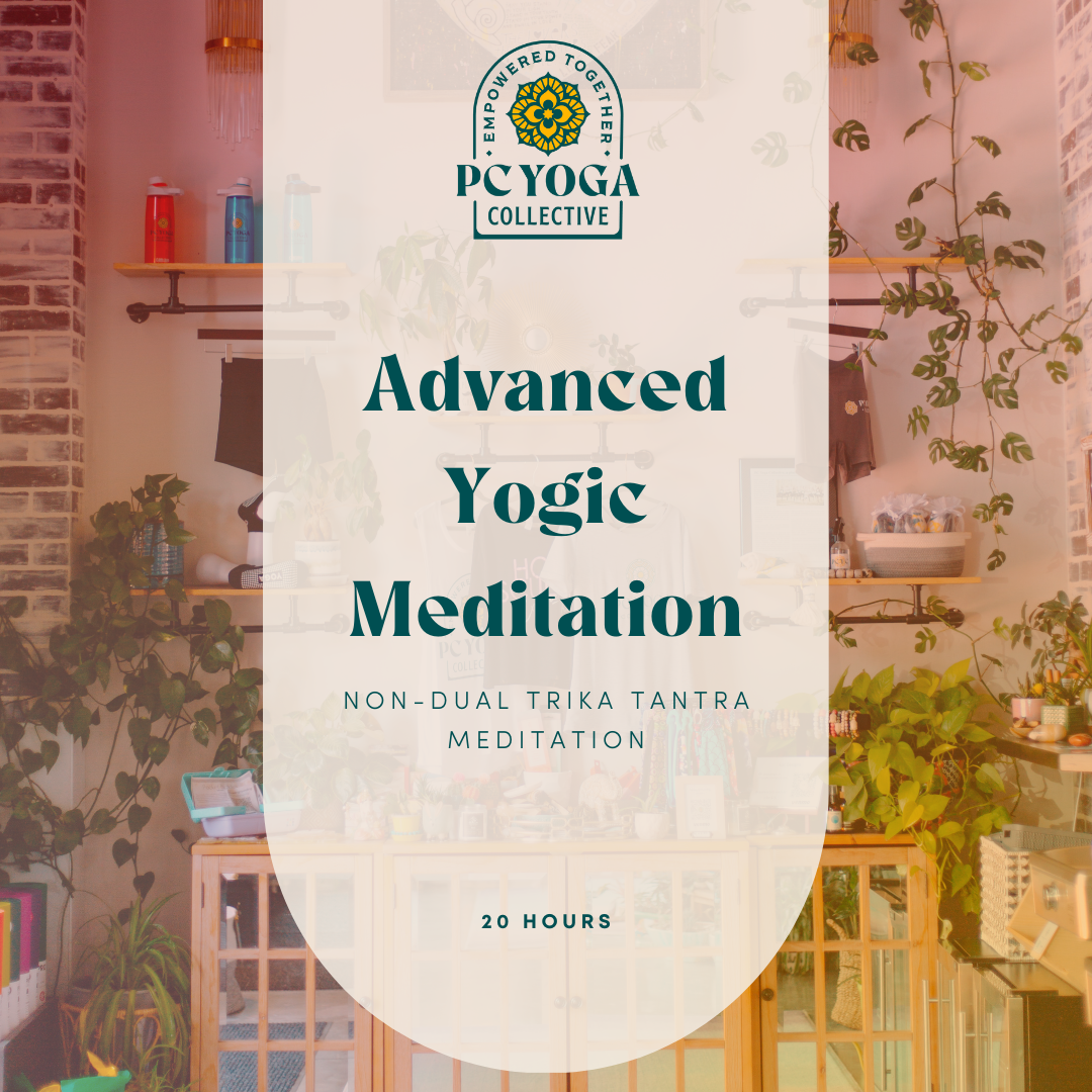 Non-Dual Meditation YTT