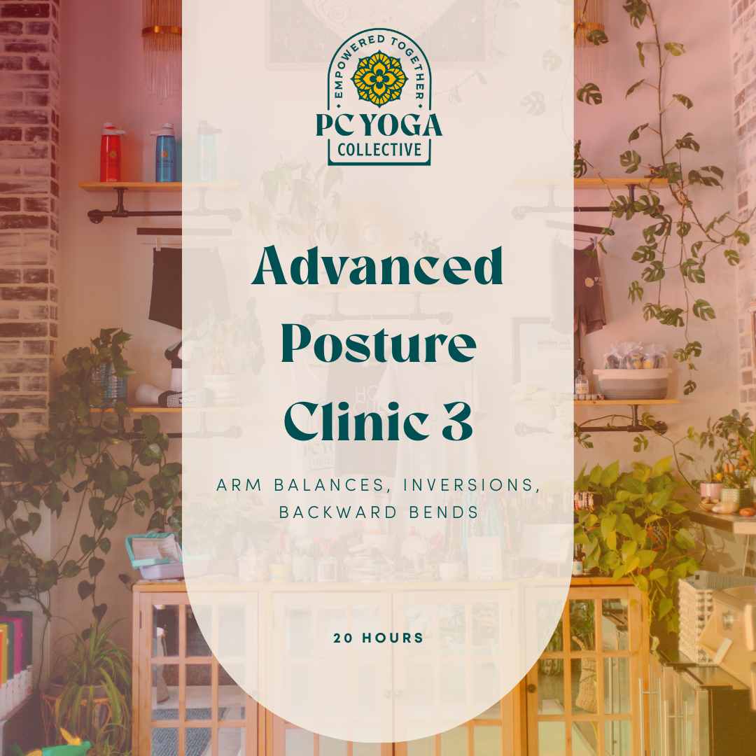 Advanced Posture Clinic 3