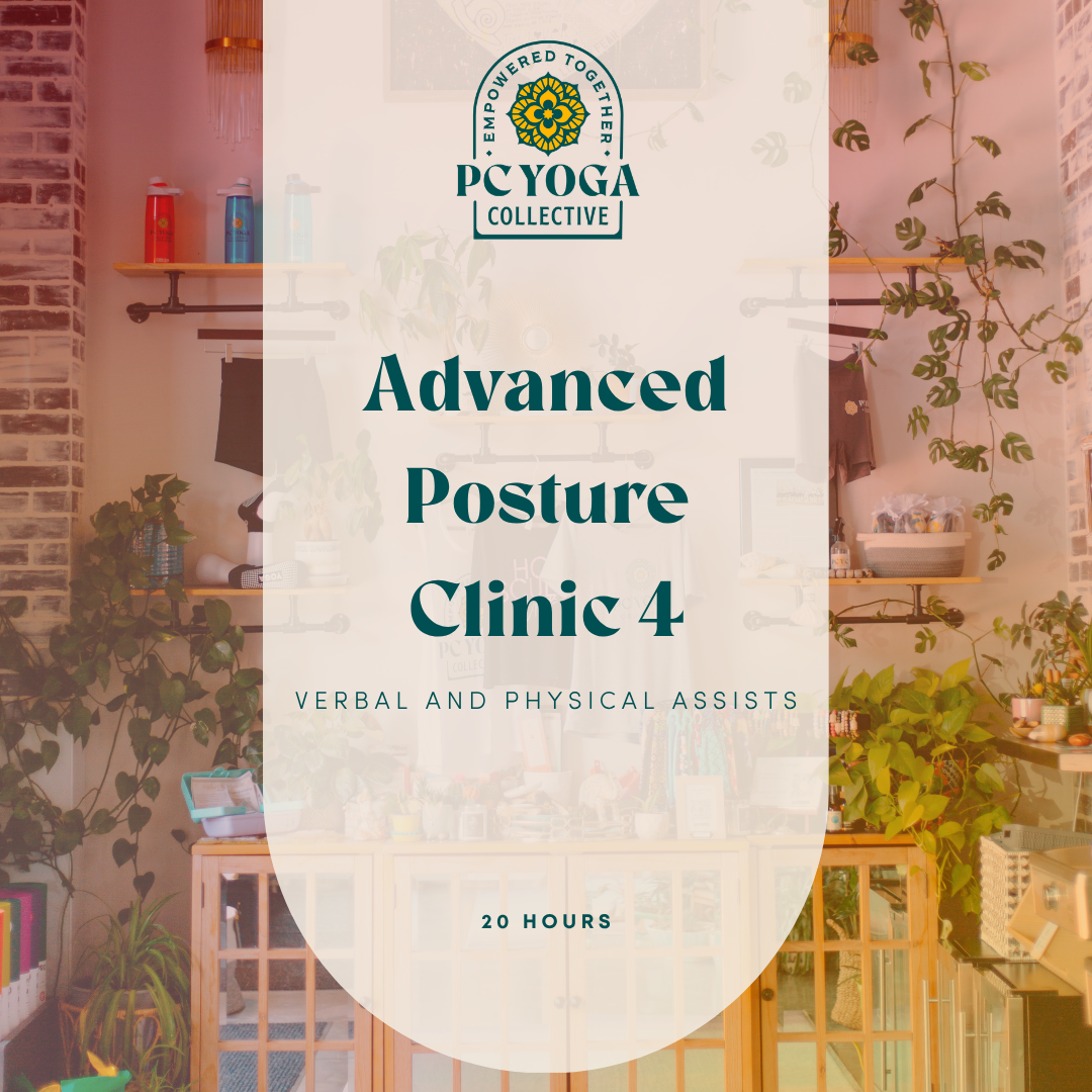 Advanced Posture Clinic 4