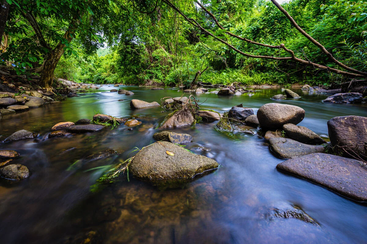 Unique Places Conservation