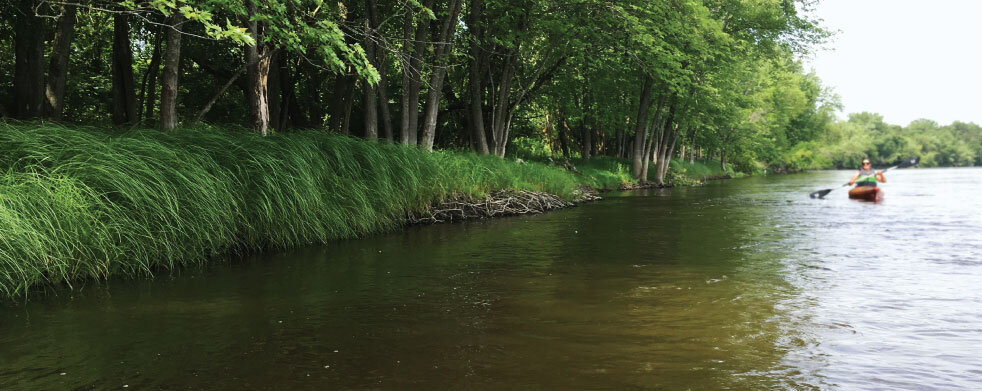 Mississippi West - Cloquet Island Campsite