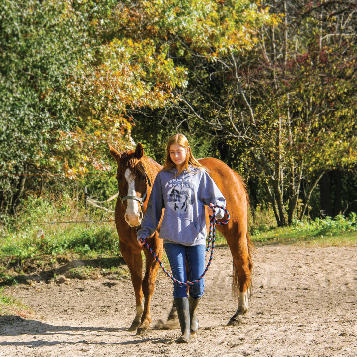Horse Trails What You Need To Know — Anoka County Parks
