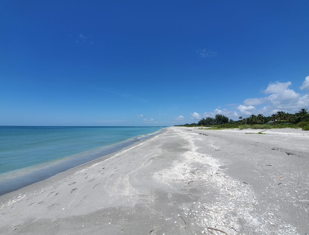 Beach Captiva.PNG