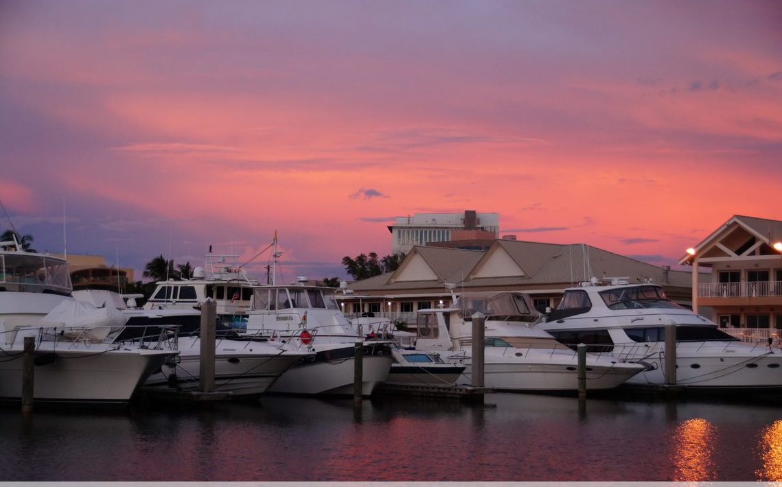 Legacy Pink Purple.PNG