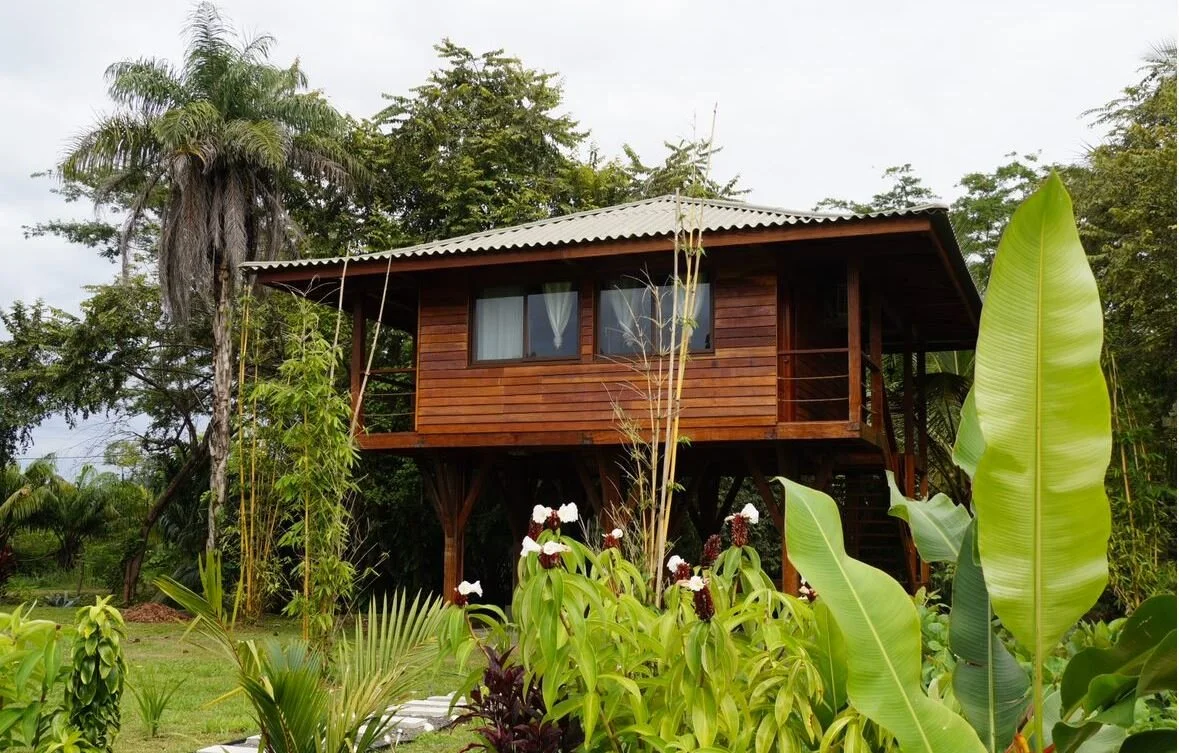The Treehouse - Catalina's Hideway, Santa Catalina, Panama
