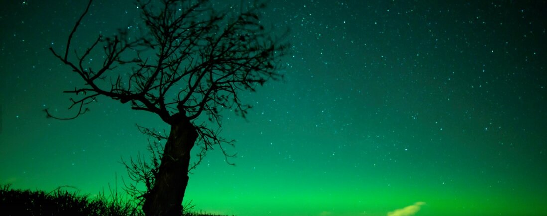 The Northern Lights can (sometimes) be seen from October to March.