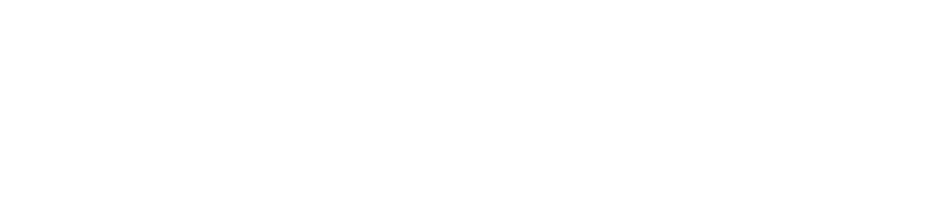 Ad Hoc Analytics