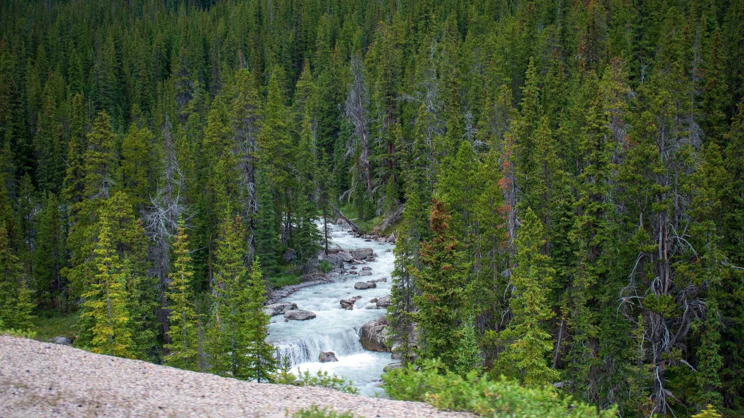 Banff National Park