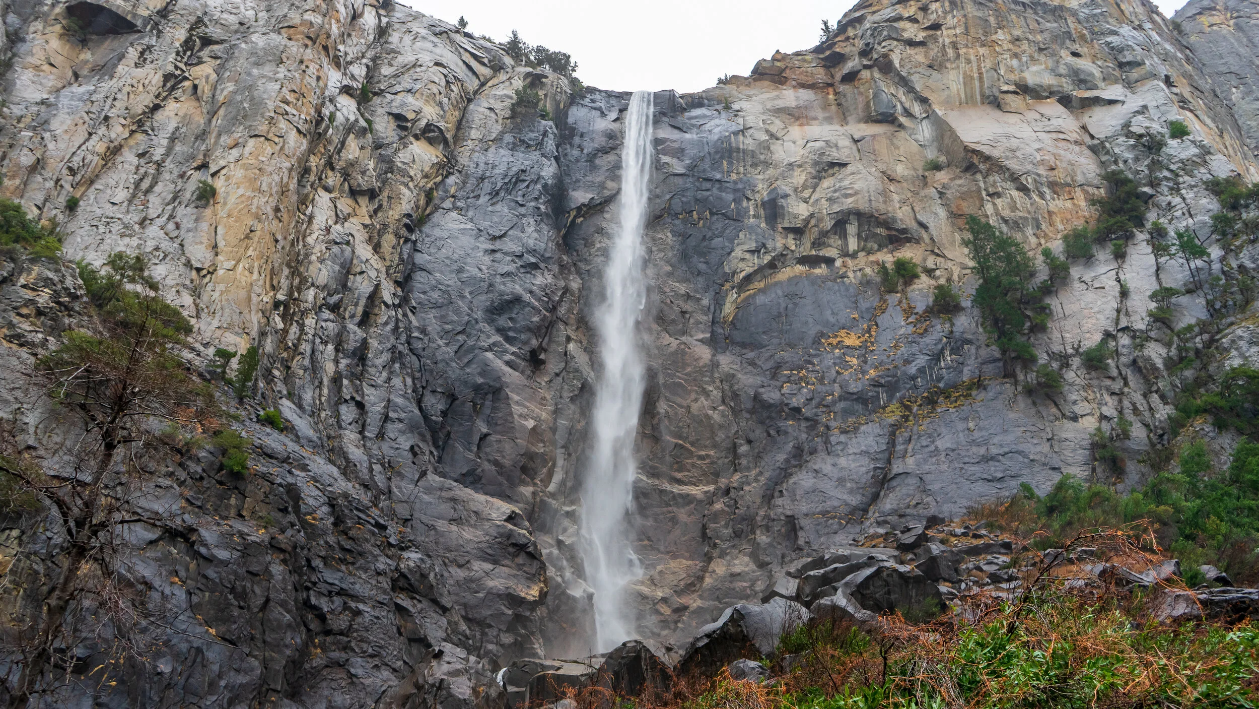 Yosemite National Park