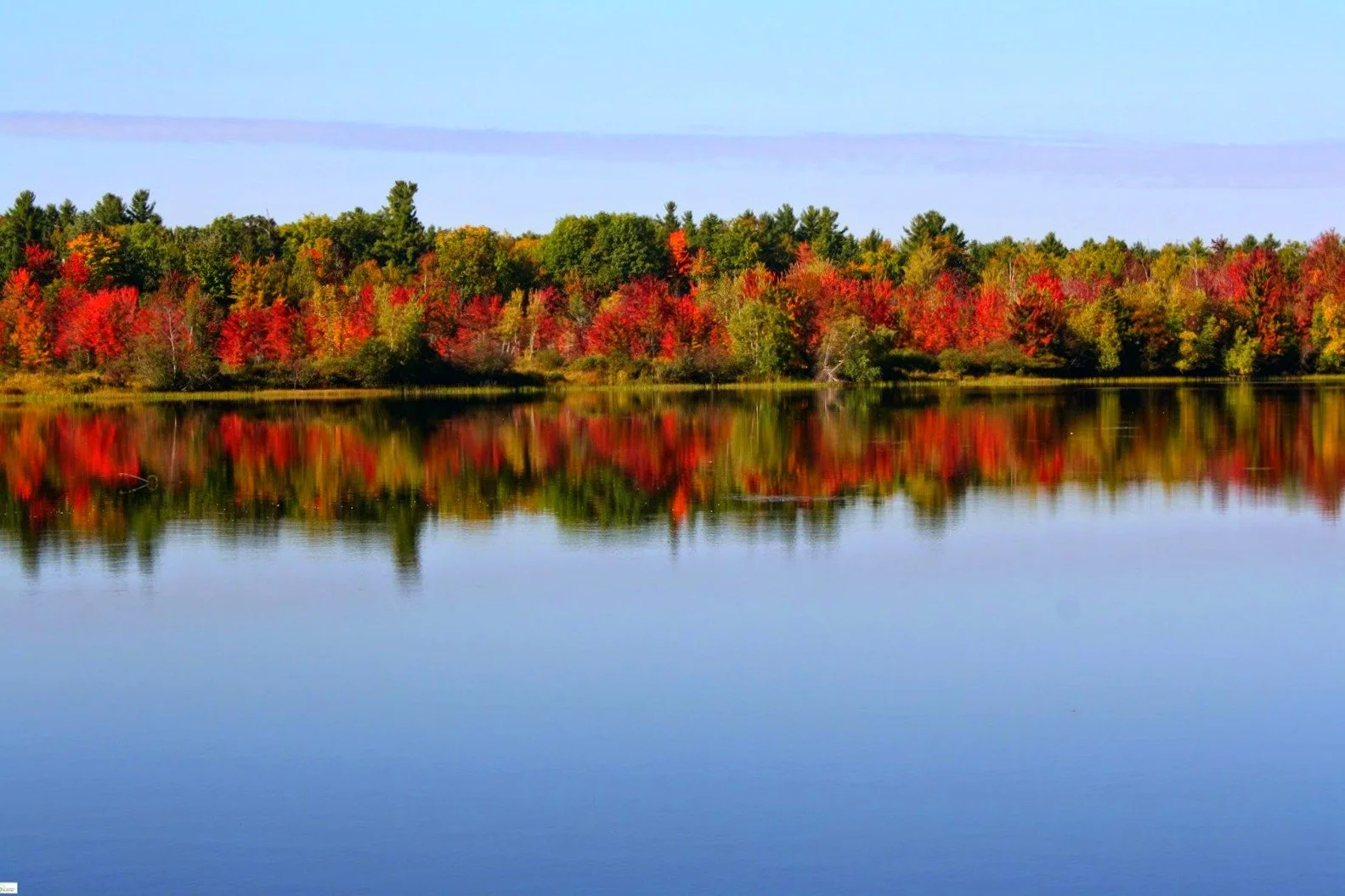 Lake Champlain - Tackle Warehouse Pro Circuit