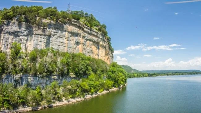 Wheeler Lake - Tackle Warehouse Pro Circuit