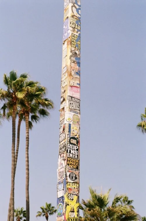 SIGNS - VENICE BEACH - MARKTGODDARD