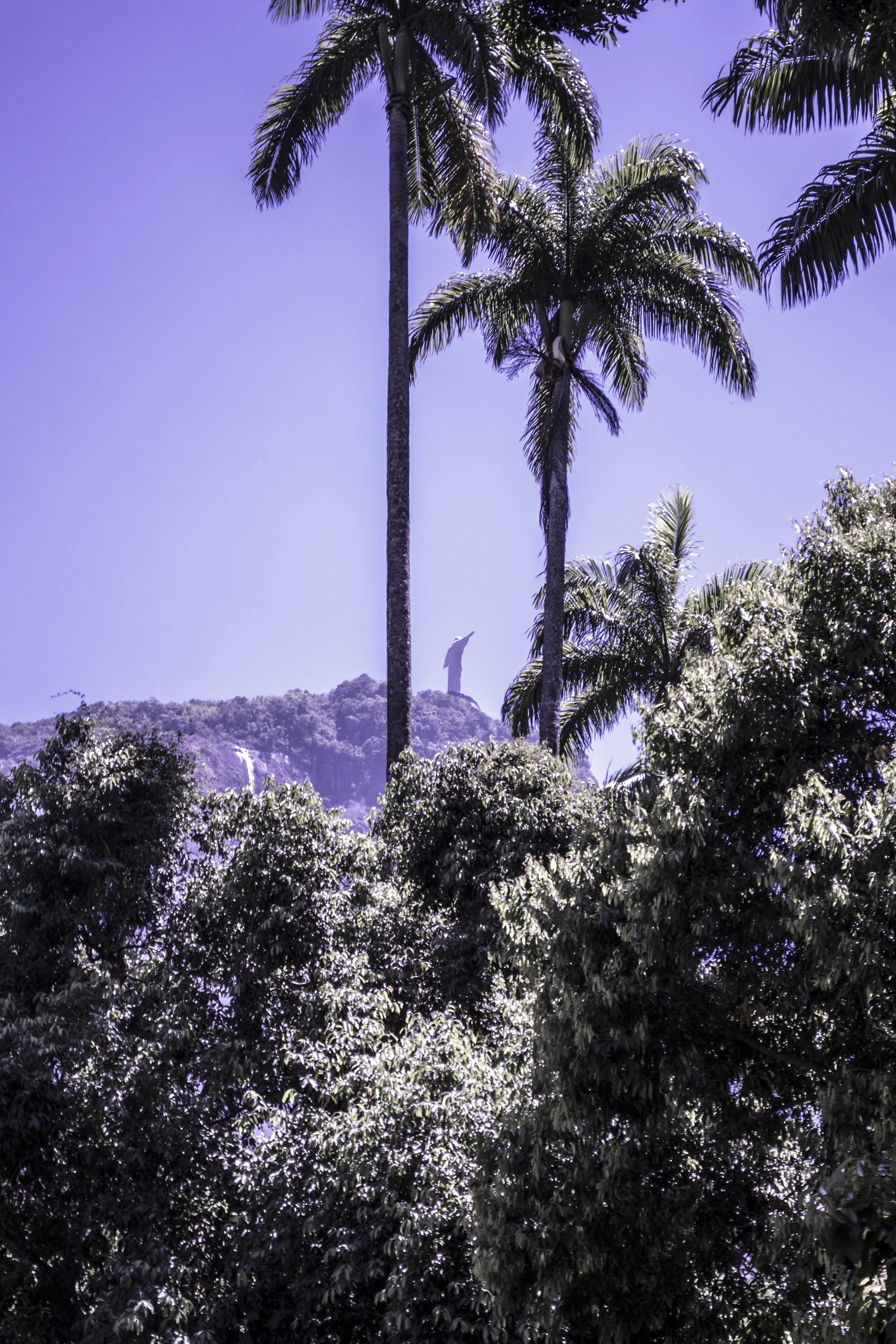 cristo redentor and trees.jpg