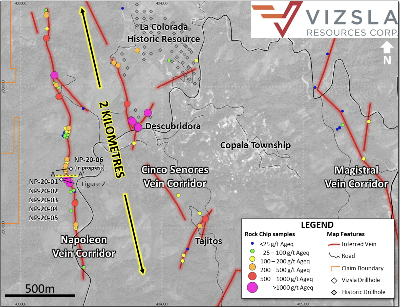 Figure 1:             Plan map showing location of drillholes, mapped veins and surface and underground sampling at Napoleon.  The over 2,000 metre long corridor has never previously been drilled.