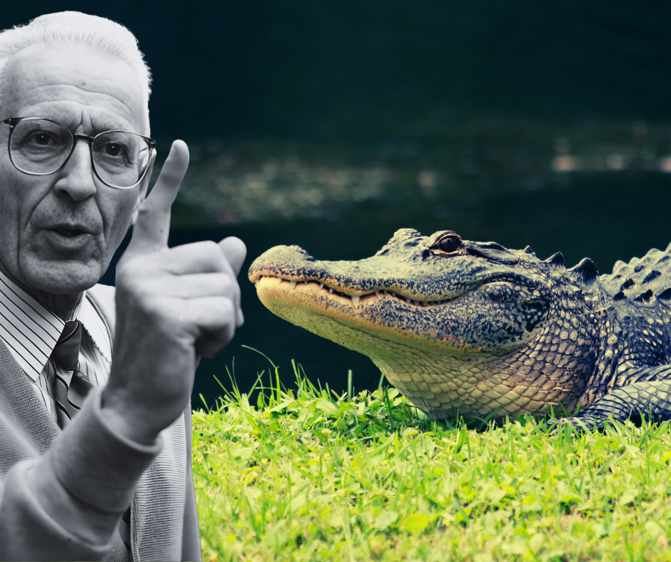 Sneak Peek At My Next Novel, “Death Lover”