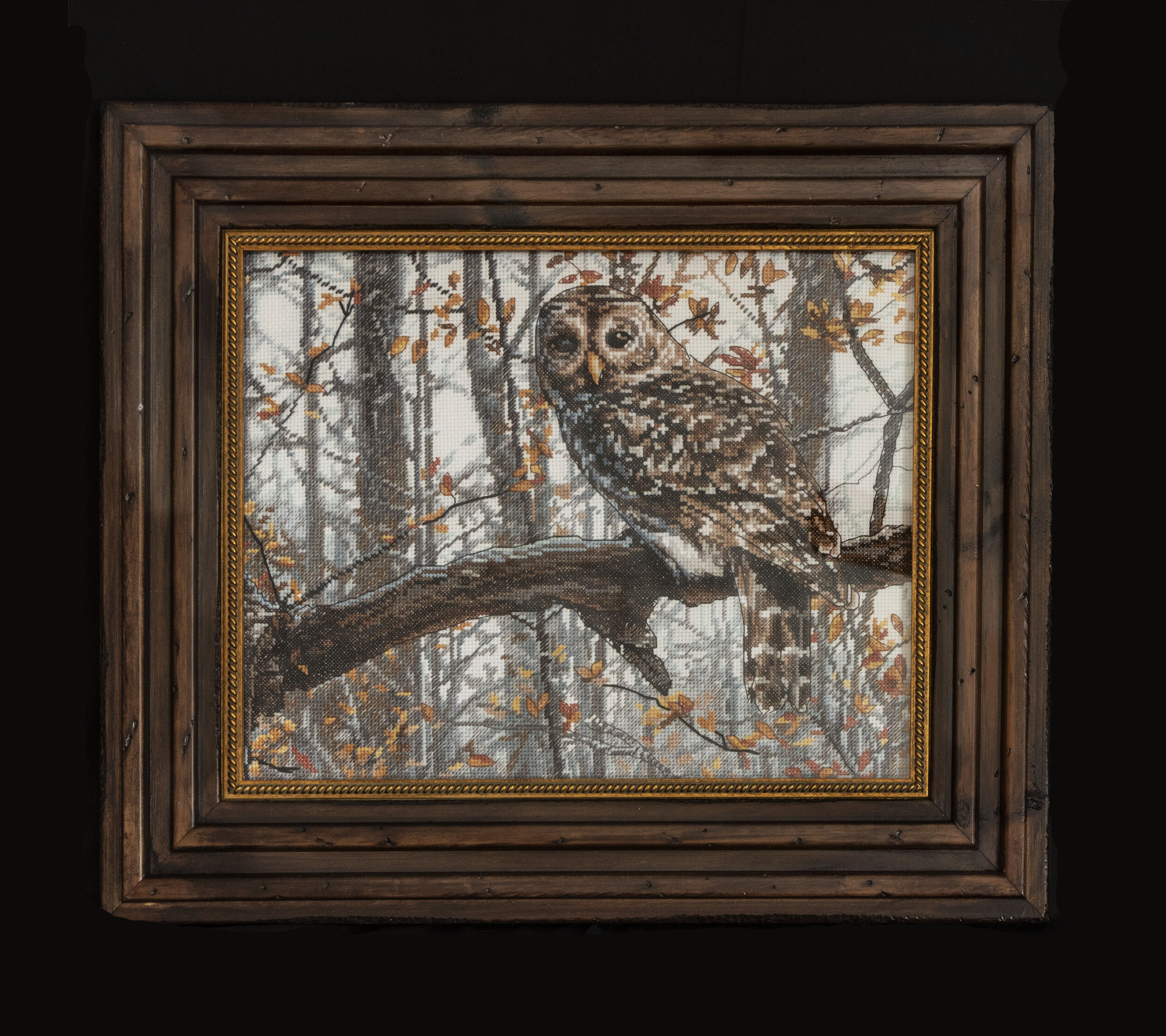The Wise owl (on tree branch)