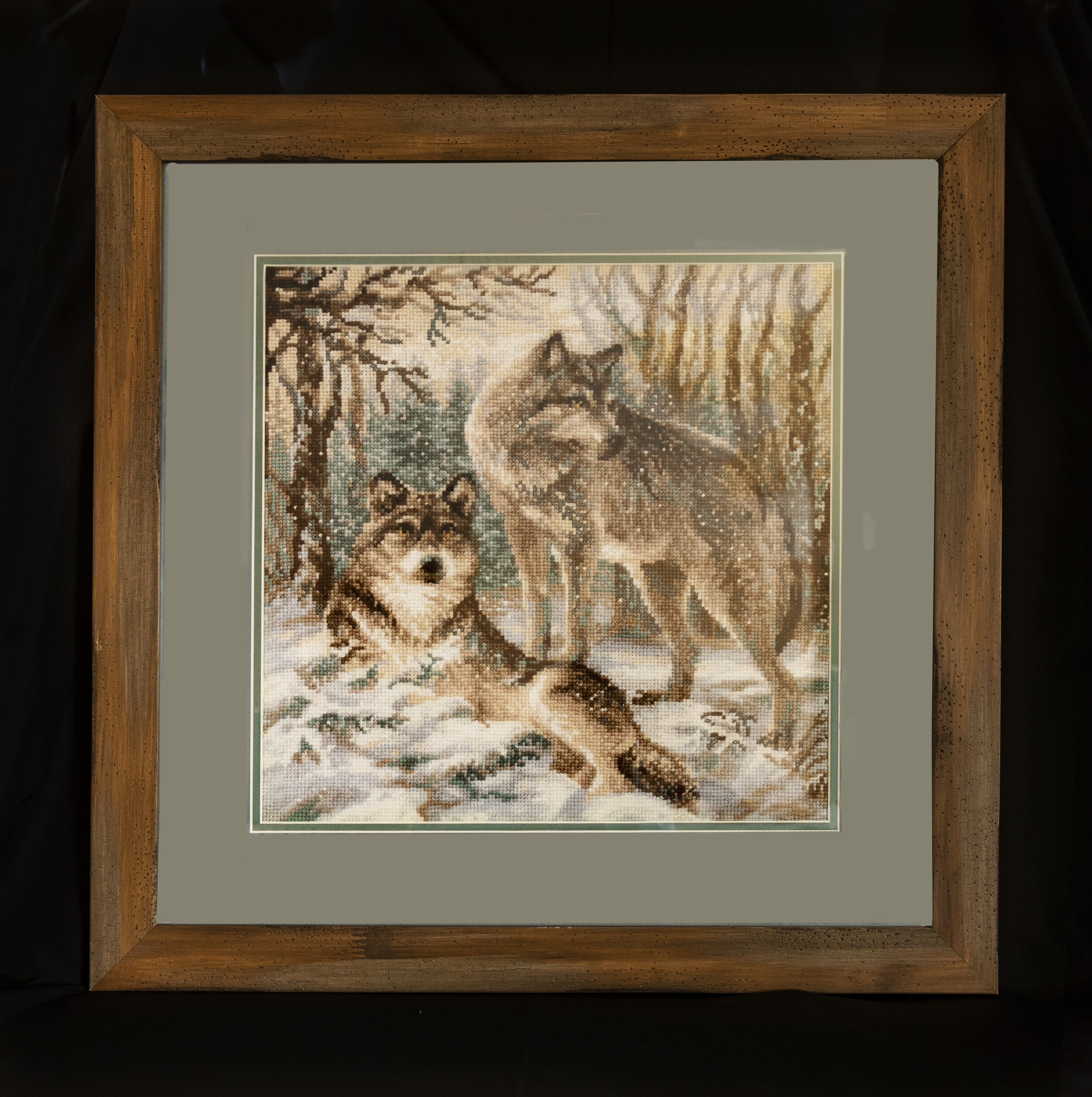 2 wolves in winter forest