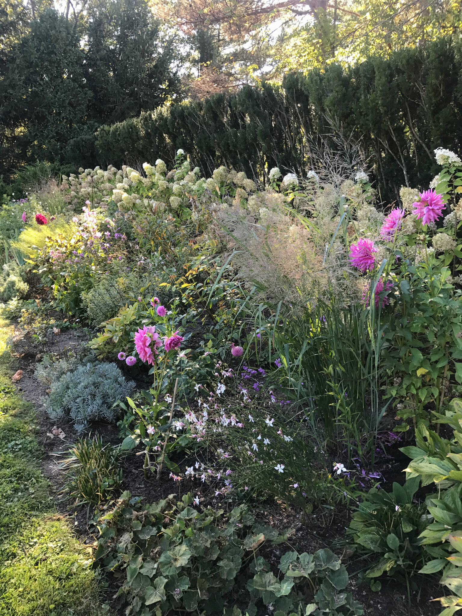 Gardens — The Valley Gardener